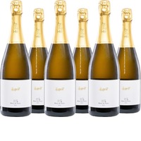 Blanc de Noirs brut