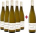5+1 Paket Ried Sandgrube Grüner Veltliner Kremstal DAC - Weingut Alois Zimmermann 