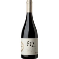 Eq Cool Climate Syrah Bio - Matetic Vineyards