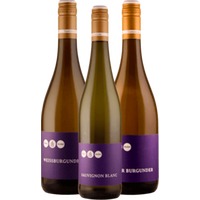 Drei Probierpakete mit den besten Weinen des Weinguts Lisa Bunn