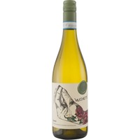 Pasqua Mucchietto Garganega Organic Soave DOC - - Veneto, Italien