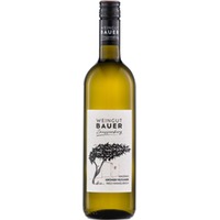 Grüner Veltliner "Ried Himmelreich" BIO - Weingut Bauer Zaussenberg