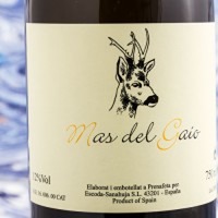 Mas del Gaio