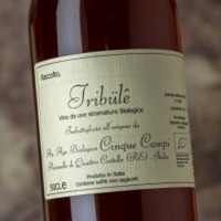 Cinque Campi Tribülê - 50 cl