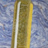 Cosmic Connexió Còsmica