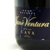 Jané Ventura Brut Nature Gran Reserva 