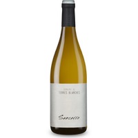 Sancerre Blanc – persönliche Empfehlung