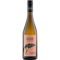 Grüner Veltliner "Ried Leithen" trocken Bio - Weingut Bauer Zaussenberg