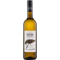 Sauvignon Blanc trocken Bio - Weingut Bauer Zaussenberg