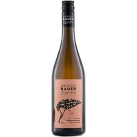 Grüner Veltliner "Ried Steinberg" trocken Bio - Weingut Bauer Zaussenberg