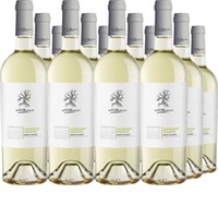 I Tratturi Bianco Salento IGT