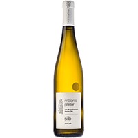 Mélanie Pfister : Pinot Gris Silb
