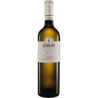 Ilatium Morini Le Calle Soave DOC 0,75 ℓ