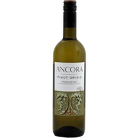 Pinot Grigio - Ancora