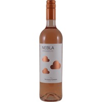 Nebla Verdejo Rosé - Vincente Gandia