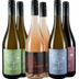 Frizzante Probierpaket BIO - Weinbau Birsak 