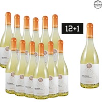 12+1 Aktion, SALENDE, Vermentino Salento IGT