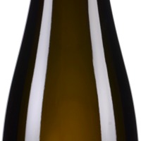 Grüner Veltliner Glanz & Gloria Kamptal