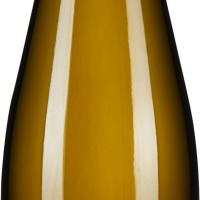 Grüner Veltliner Hirschvergnügen Kamptal
