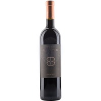 Oxhoft 2020 Braunstein