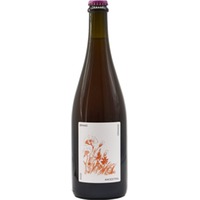 Brand Ancestral Orange Bio, Trocken, Deutscher Perlwein, Pfalz, 2022, Weißwein