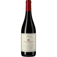 Rosso Piceno Pongelli