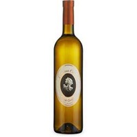 Pinot Grigio Abruzzo IGT Contessa Camilla