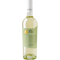 Terre di Sole Malvasia Bianca Salento IGP - Cantine San Pancrazio