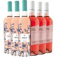 Rosé-Paket - Cantine San Pancrazio