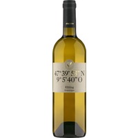 Rutishauser-Divino Varietas 53 Elbling Ermatingen AOC Thurgau - - Ostschweiz, Schweiz