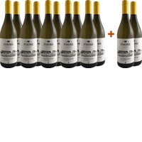 10+2 Steiermark Sauvignon Blanc Paket - Weingut Fuchs