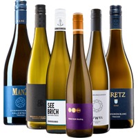 Das Beste aus Rheinhessen von VINELLO - 6x Probierpaket