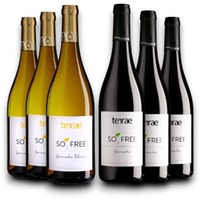 Probierpaket Tempore SO2 frei Terrae ( 6 x 0,75l )   bio