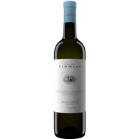 Pinot Grigio Trentino DOC - Castel Firmian Mezzacorona (10,80 CHF pro 1 l)