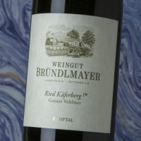 Bründlmayer Ried Käferberg Grüner Veltliner