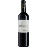 Malbec Argentino 2023 Caro