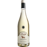 Collavini Pinot Grigio, Friaul IGT, Friaul, 2025, Weißwein