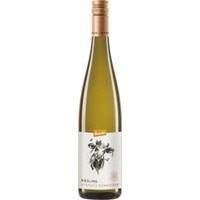 Stefan J. Schmitzer Riesling Pfalz Demeter - Herrenhof