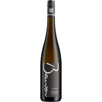 Stettener Riesling Gipskeuper VDP.Ortswein BIO - Weingut Beurer