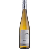 Weinviertel DAC Grüner Veltliner Falkenstein BIO - Weingut Pesau