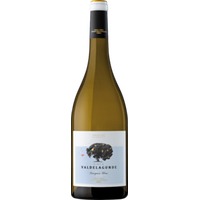 Valdelagunde Sauvignon Blanc - Pedro Escudero