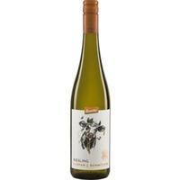 Stefan J. Schmitzer Riesling Pfalz Demeter Herrenhof