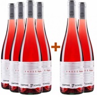 4+2 Paket Trosè Puglia IGP BIO - Cantine Losito