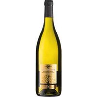 Querci Antica Verdicchio dei Castelli di Jesi Classico DOC