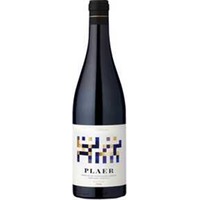 Plaer
