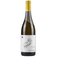 Pinot Grigio Controcorrente Vigneti delle Dolomiti IGT