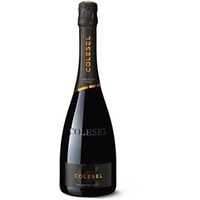 Prosecco DOC Brut Noai Spumante Colesel Treviso