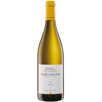 Pinot Blanc Einstern Markus Molitor 2023