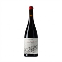 Quinta do Estranxeiro Finca Penapedre