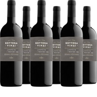 Lagrein Trentino DOC Bottega Vinai